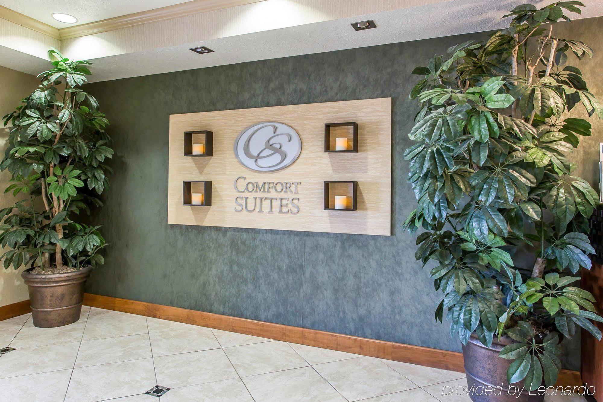 Comfort Suites Hopkinsville Near Fort Campbell Екстериор снимка